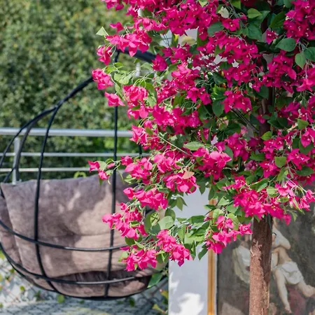 Apartmanhotel Grand Bella Sultanahmet 4*