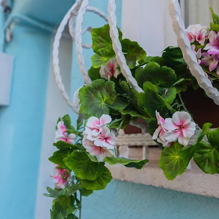 Апарт-отель Grand Bella Sultanahmet